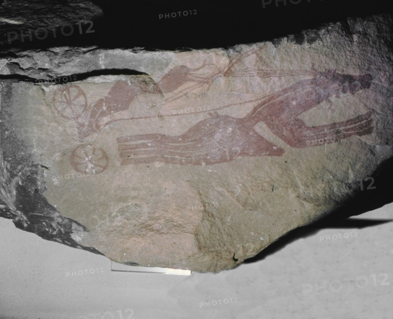 A rock painting from Tassili nAjjer, Sahara, depicting a horse and two wheeled chariot