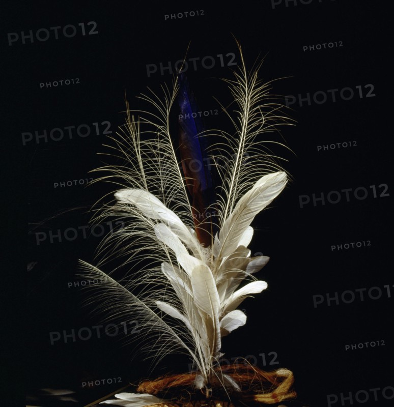 Headdress made of mostly white feathers from white birds of the Amazon
