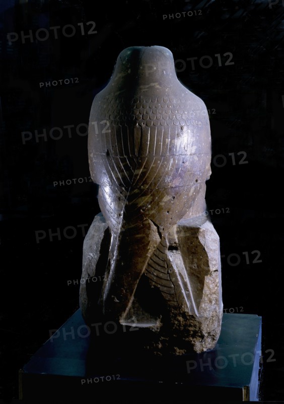 Back of a statue in the form of a hawk, found in 1859 1860 by August Mariette