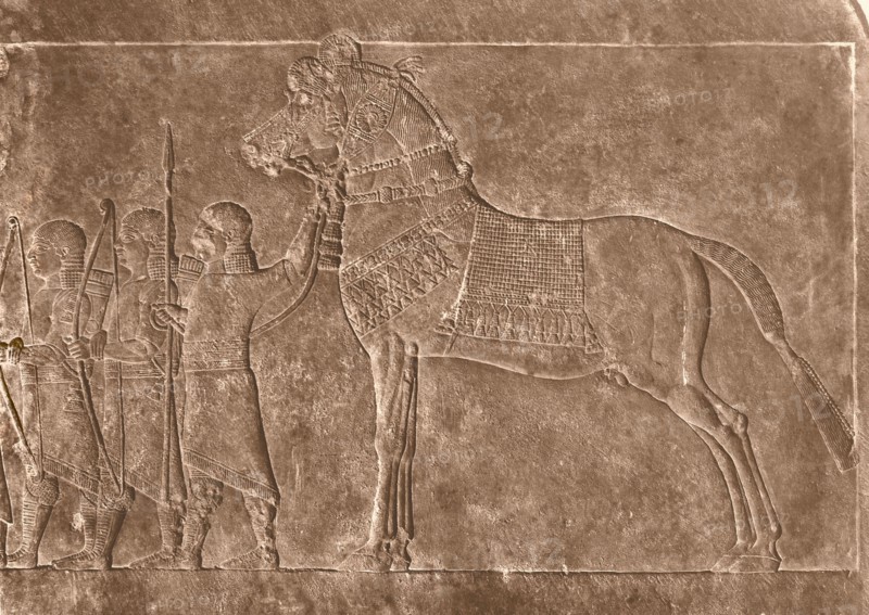 Stone relief from the Palace of Ashurbanipal