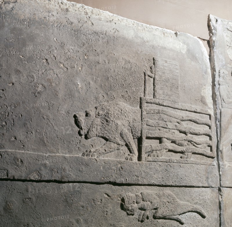 Stone relief from the palace of Ashurbanipal