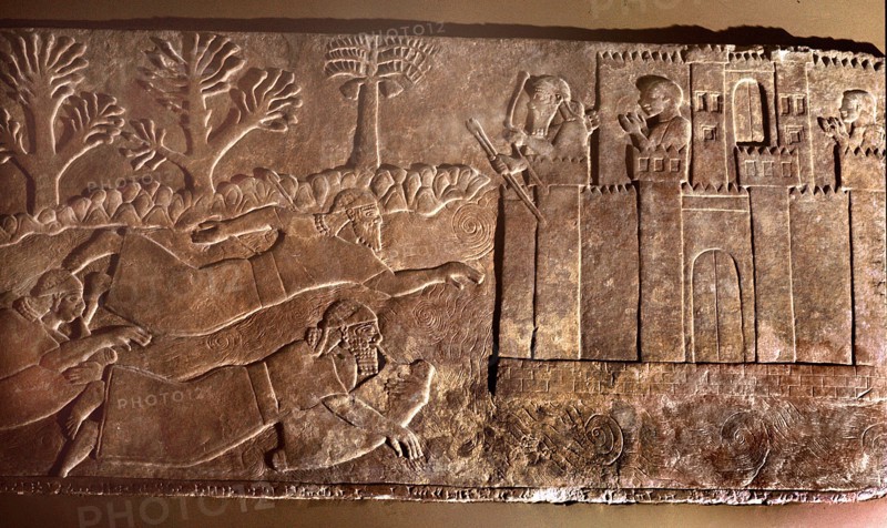 Carved slab from King Ashurnasirpal IIs throne room at Nimrud