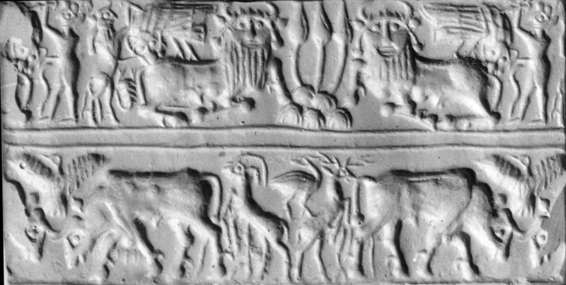 Cylinder seal with two registers