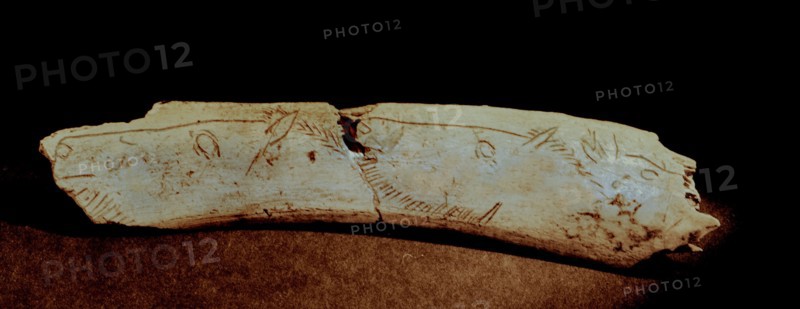 Drawing of horses heads