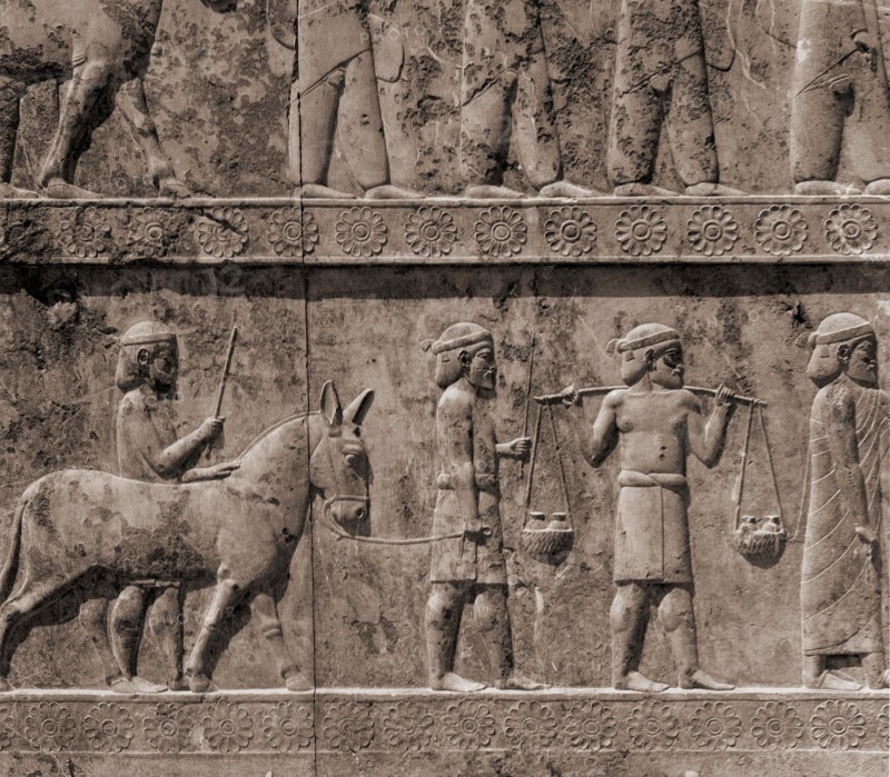 A detail of the reliefs on the stairways leading to the audience hall of Darius and Xerxes