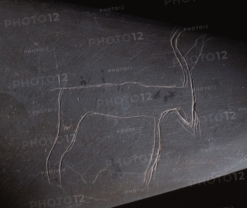 Detail frm a cosmetic palette depicting a gazelle or antelope