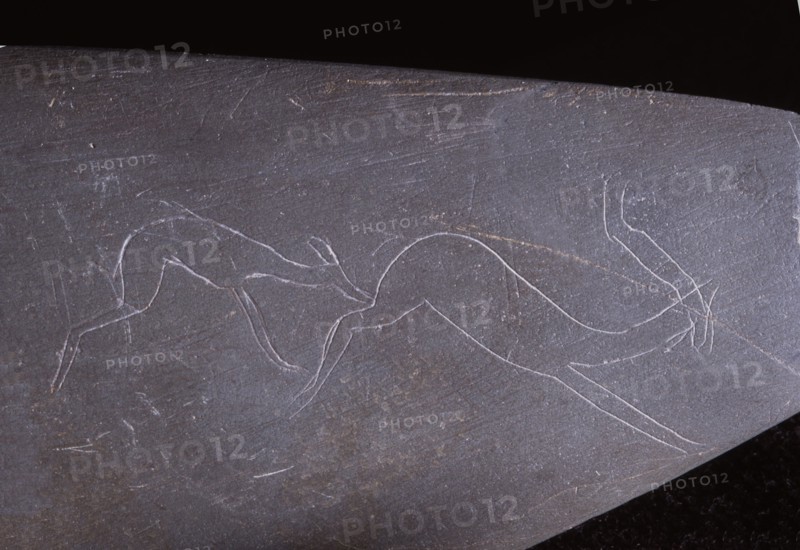 Detail from a cosmetic palette depicting a dog hunting a gazelle or antelope