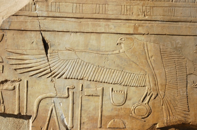 Details of a falcon clutching a solar disc from a hieroglyphic inscription