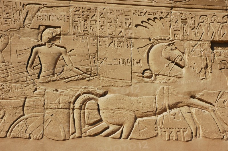 View of the giant relief decoration on the outside northern wall of the Great Hypostyle Court