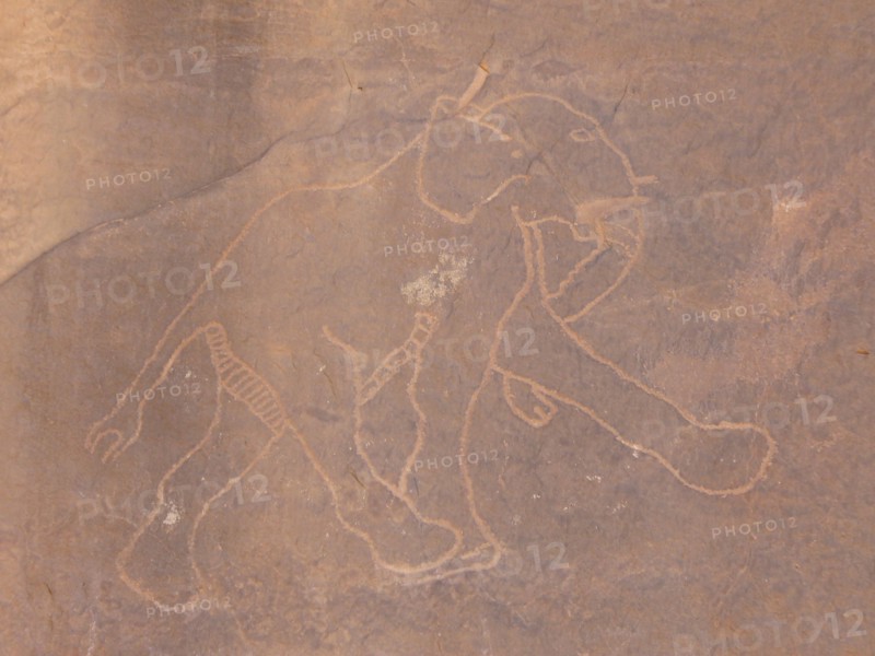 At the beginning of the Holocene the hunter gatherers of the Sahara experienced very different enviromental conditions