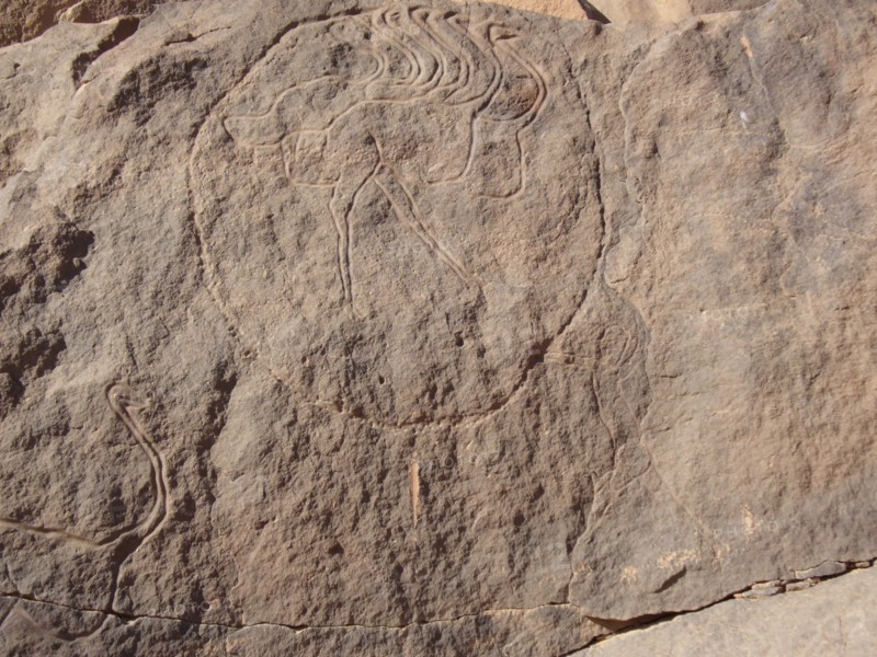 At the beginning of the Holocene the hunter gatherers of the Sahara experienced very different enviromental conditions