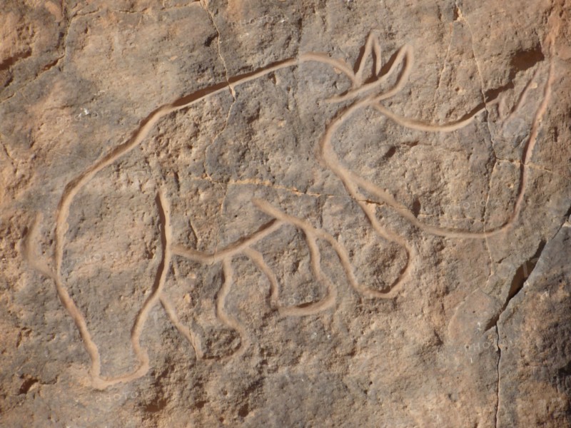 At the beginning of the Holocene the hunter gatherers of the Sahara experienced very different enviromental conditions