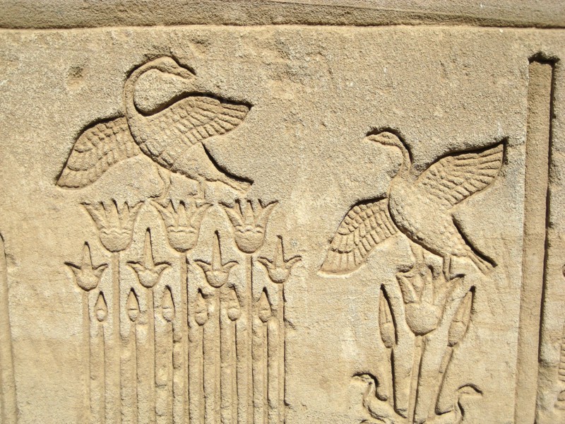 Carved relief on the outer wall of the structure which houses the Hall of the Ennead and The Sanctuary