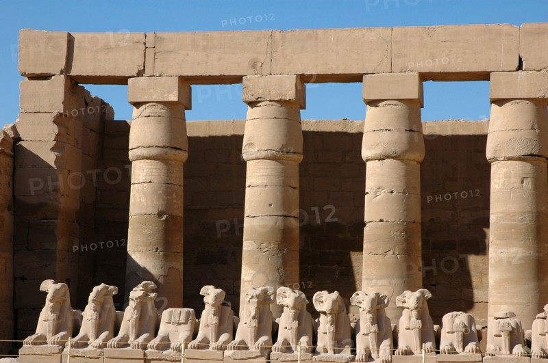 Ram headed sphinxes with statuettes of Ramesses II between their legs