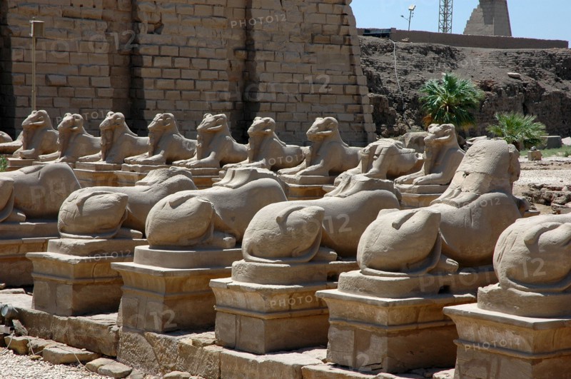 The Processional Way flanked by ram headed sphinxes with statuettes of Ramesses II between their legs