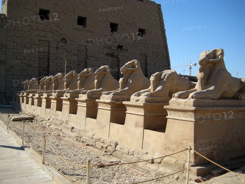 The Processional Way flanked by ram headed sphinxes with statuettes of Ramesses II between their legs