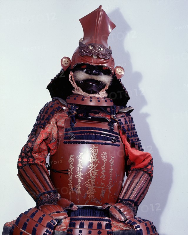 This suit of armour bears a Buddhist gold lacquer inscription on the breastplate