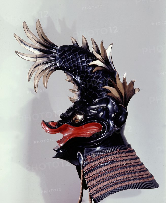 Samurai dolphin helmet