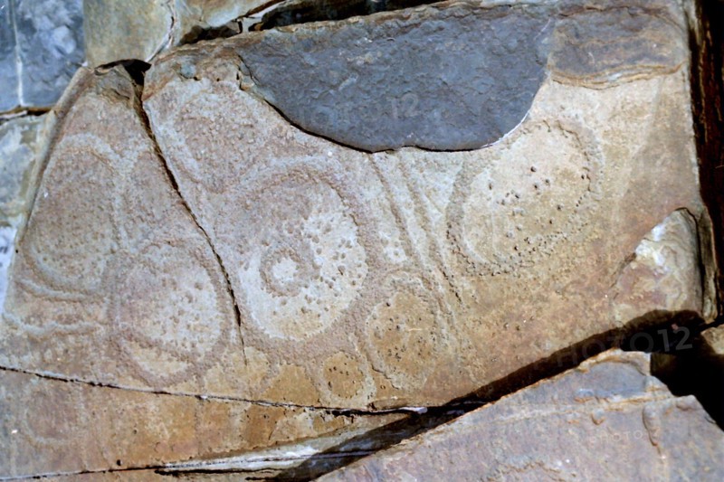 Site of Tamsanian Aboriginal rock carvings