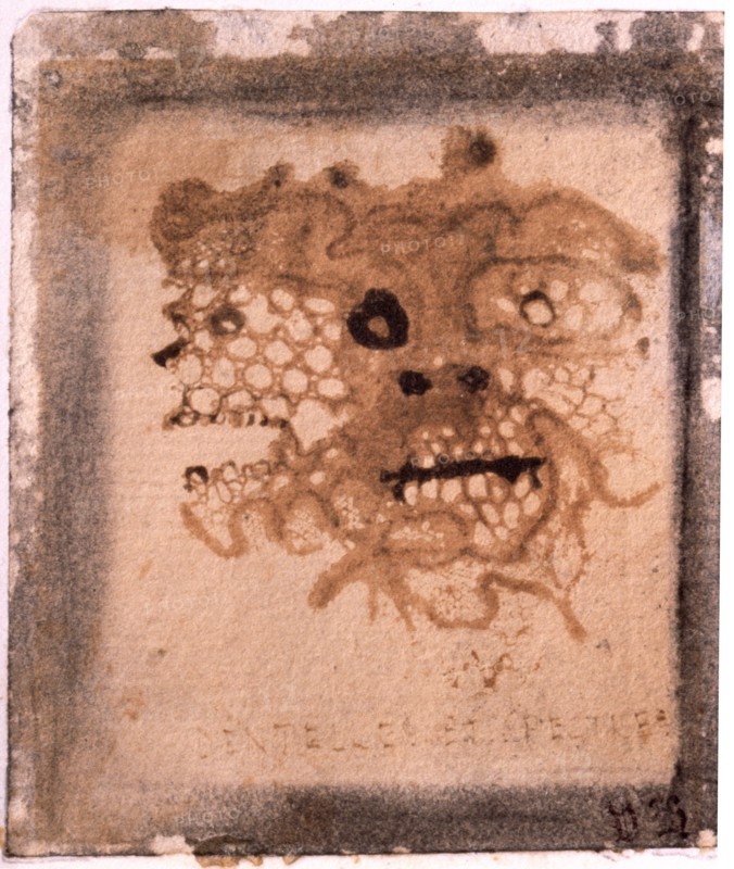 As well as a prolific writer Victor Hugo was a prolific painter, with the majority of his drawings being created during his exile in 1848 1851