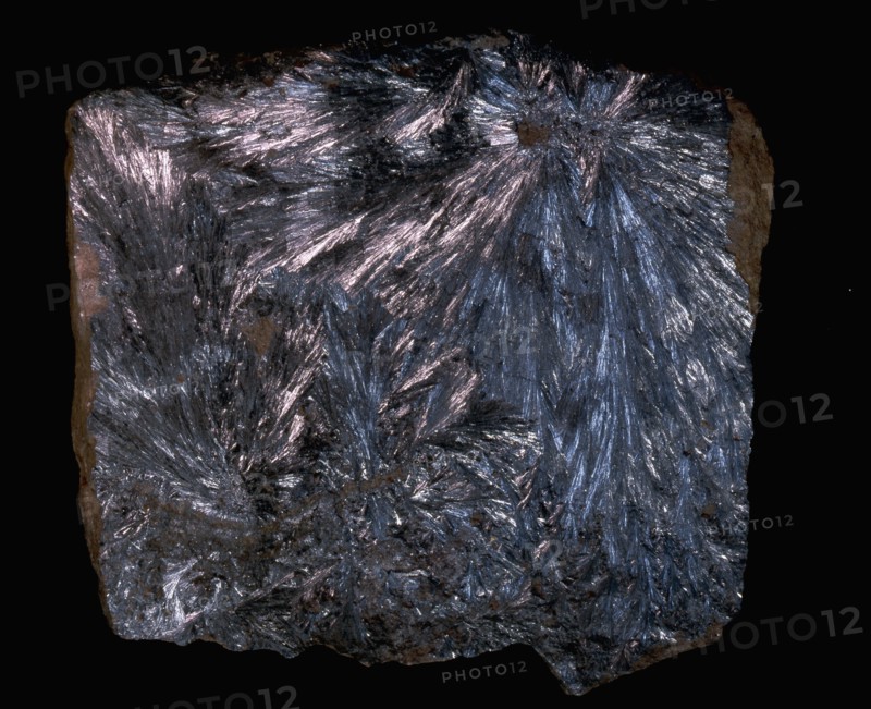 Fossilised mineral found in southwest Turfan, Western China