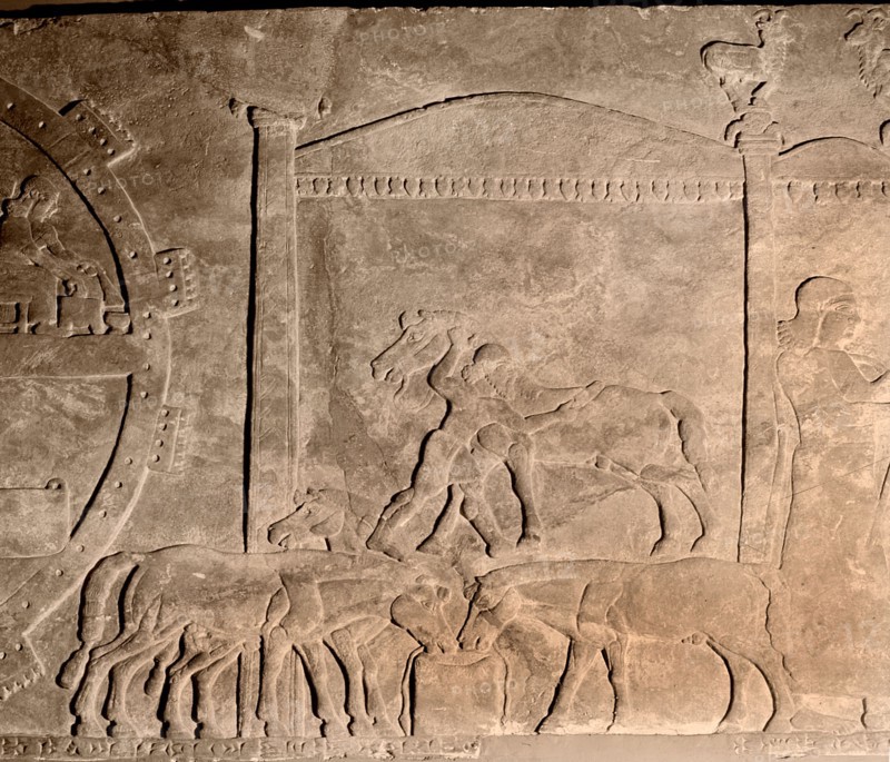Detail of a relief showing the stables at the camp of Ashurnasirpal II