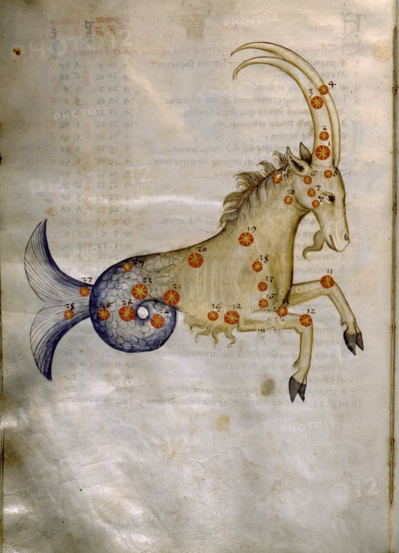 Illustration from a copy of Al Sufis The Book of Fixed Stars
