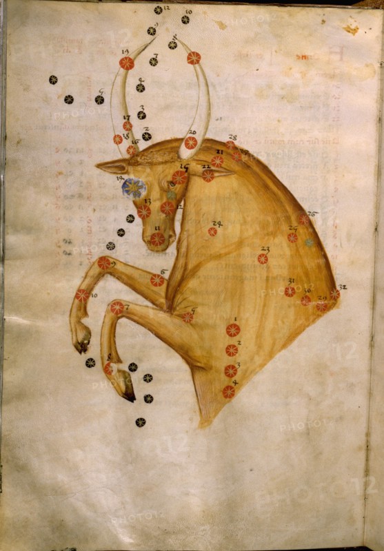 Illustration from a copy of Al Sufis The Book of Fixed Stars
