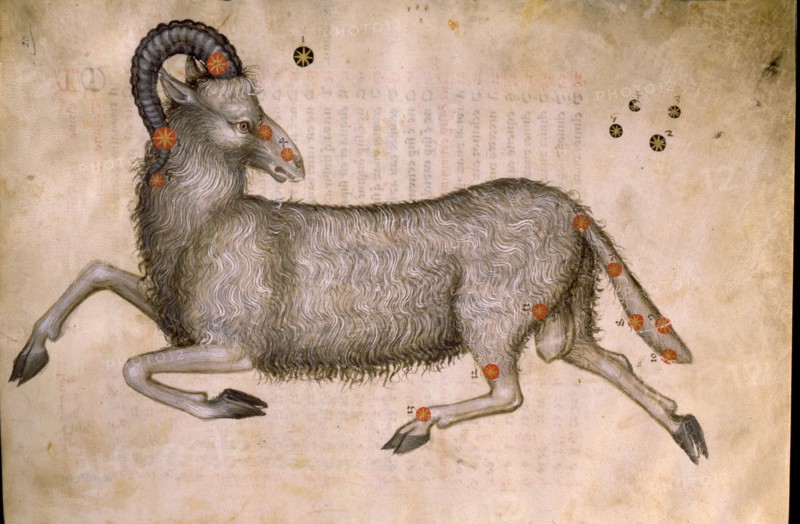 Illustration from a copy of Al Sufis The Book of Fixed Stars