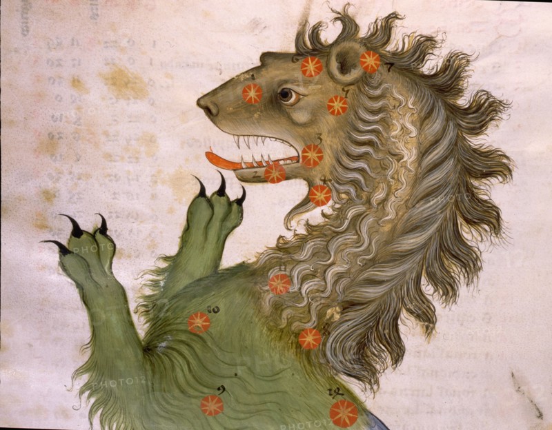 Illustration from a copy of Al Sufis The Book of Fixed Stars