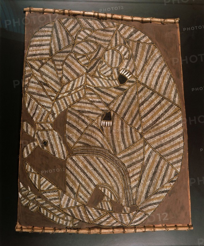 Bark painting in X ray style depicting a kangaroo
