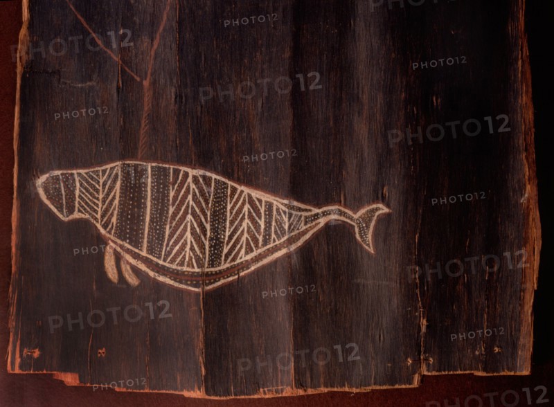 Detail showing whale from an Aboriginal bark painting depicting a whaling group