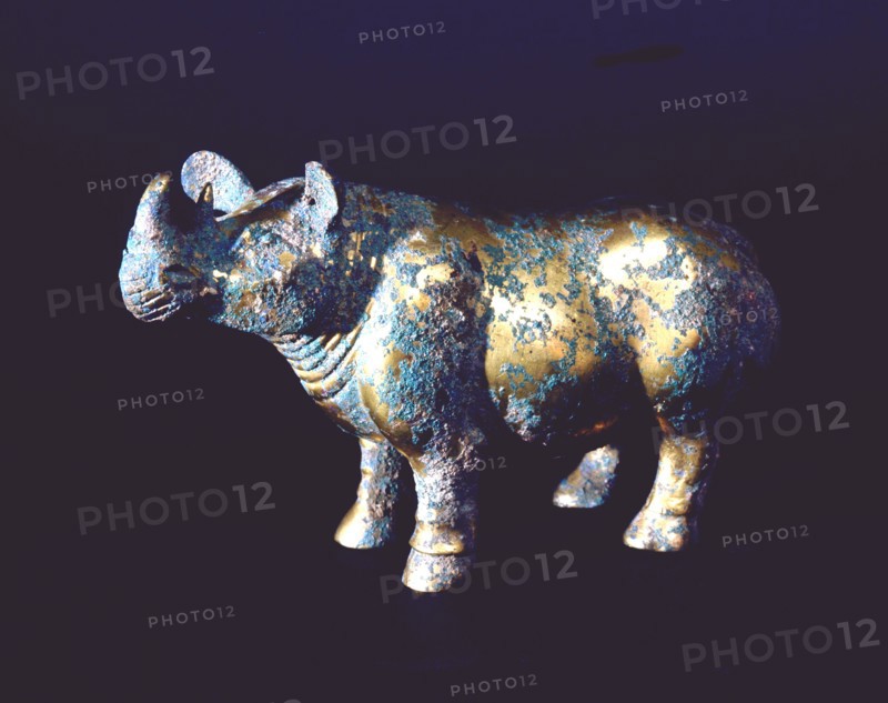 Figure of a rhinoceros