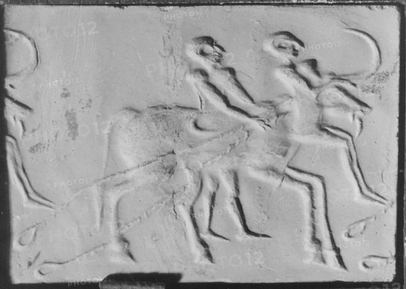 A man walks beside an ox which drags its traces along the ground