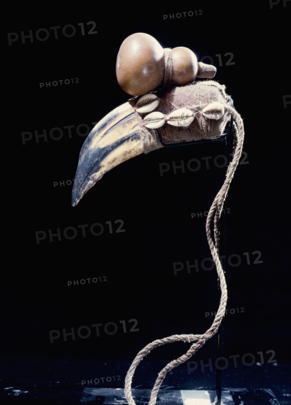 A powerful medicinal object, known as a bocio, accumulating a variety of animal and vegetable parts, including a hornbills beak to which is tied a calabash symbolic of hidden medicine