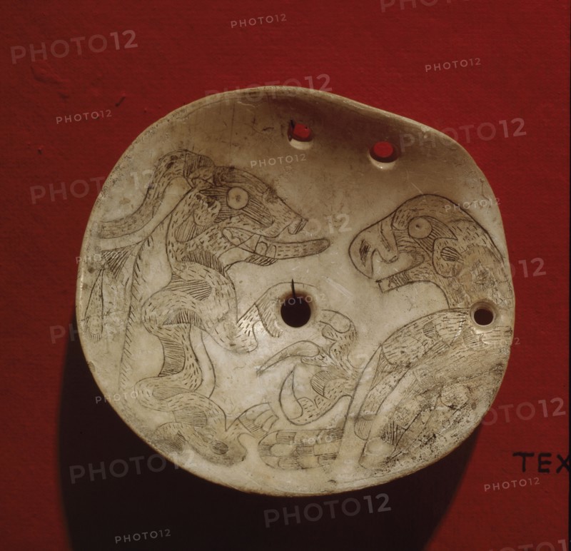Gorget