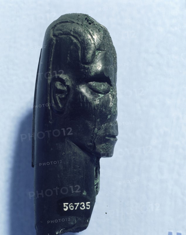 Head