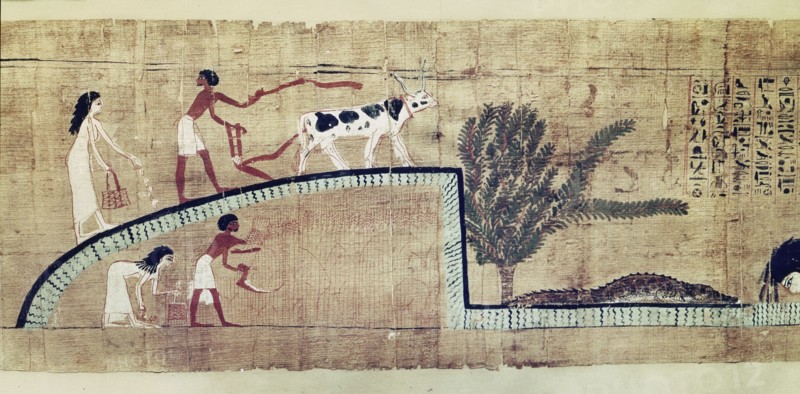 A detail of a vignette from the Book of the Dead of Lady Cheritwebeshet showing ploughing, sowing and harvesting the wheat in the Iaru Field