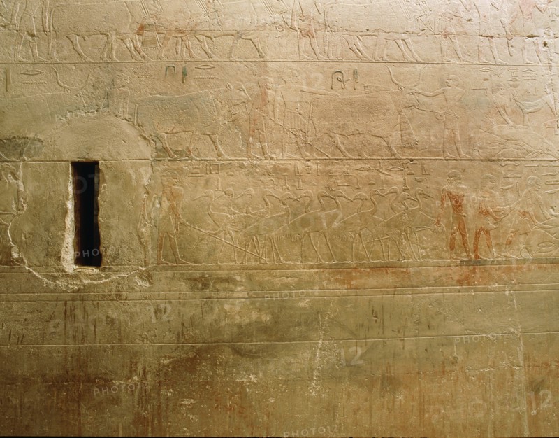 Relief from the tomb of Ty showing the inspection of cattle and fowl, including cranes