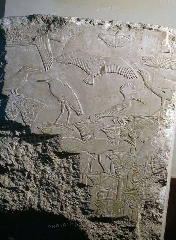 A fragment of a relief from King Userkafs temple at Saqqara depicting a variety of birds in a papyrus thicket, including hoopoes and water birds