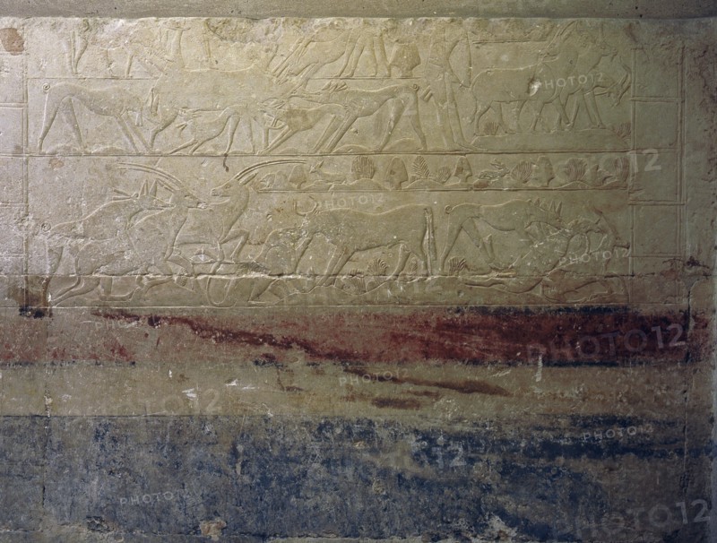 A scene in relief in the tomb of the vizier Mereruka showing wild dogs attacking antelope