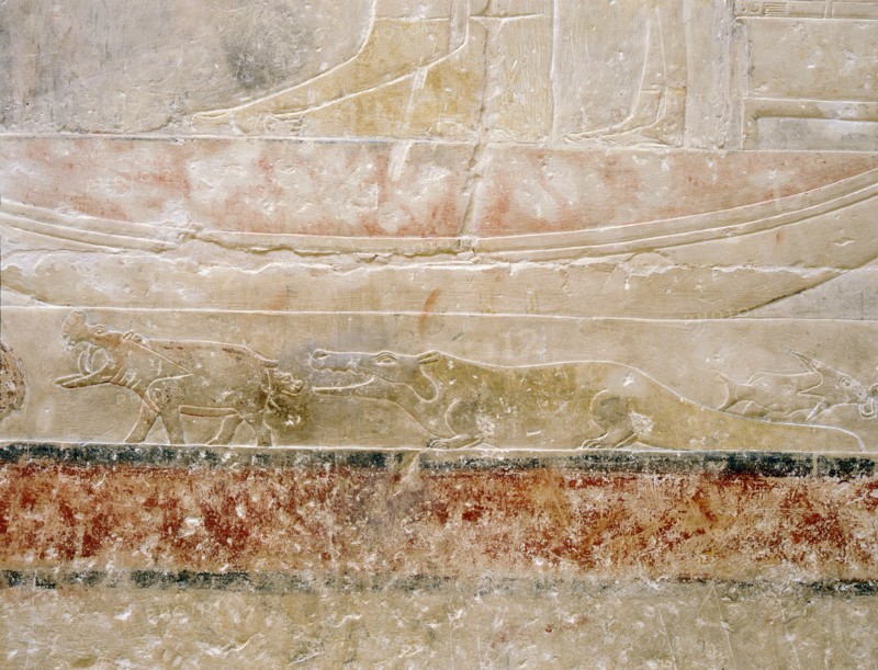 A detail of the hippopotamus hunt relief in the tomb of Princess Sesh seshet Idut at Saqqara