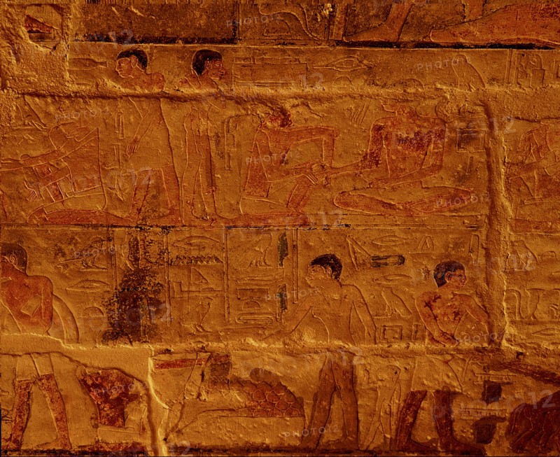 Reliefs in the tomb of Ankhmahor at Saqqara