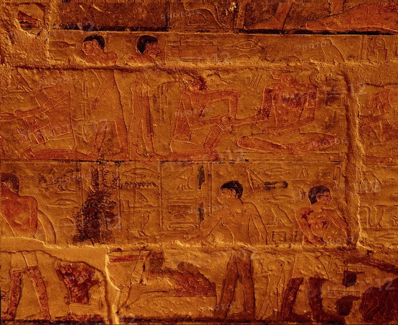 Reliefs in the tomb of Ankhmahor at Saqqara