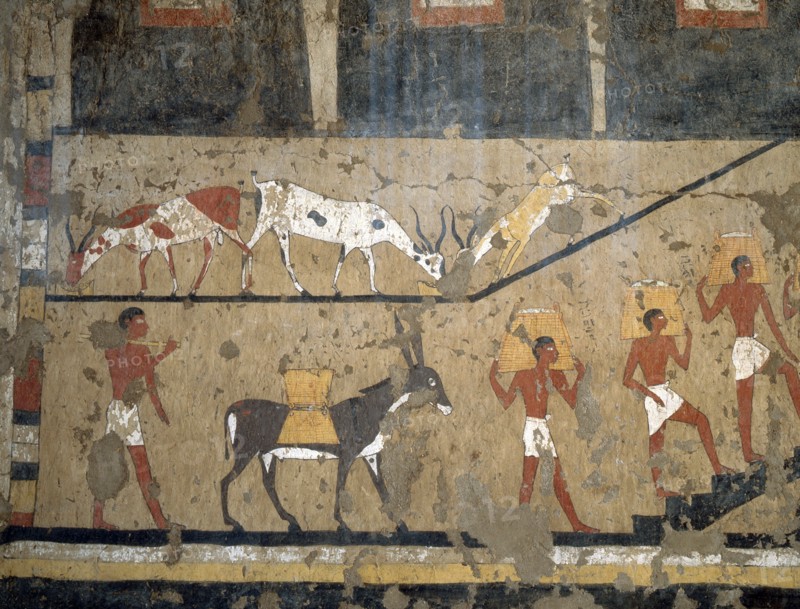 A painting from the tomb of Ity