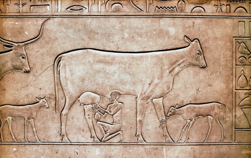 A detail of a relief on the sarcophagus of Queen Kawit, wife of the pharaoh Mentuhotep II