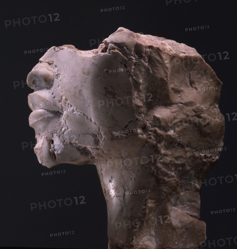 Fragment of an Amarna head