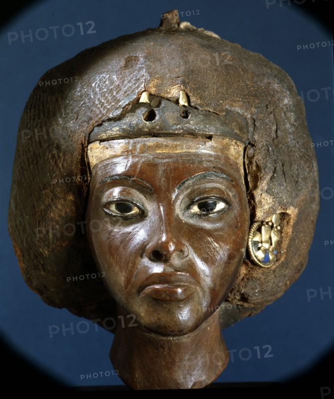 The head of Queen Tiye, wife of Amenophis III and mother of Akhenaten