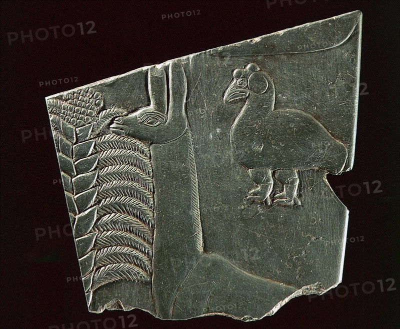 A fragment of the so called Battlefield Palette
