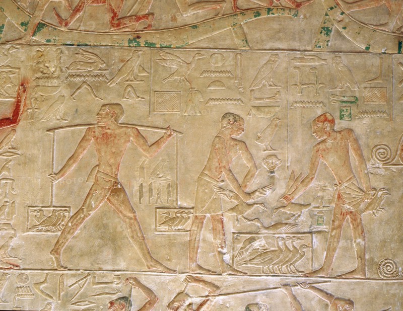 A relief from the tomb of the vizier Ptah hotep at Saqqara
